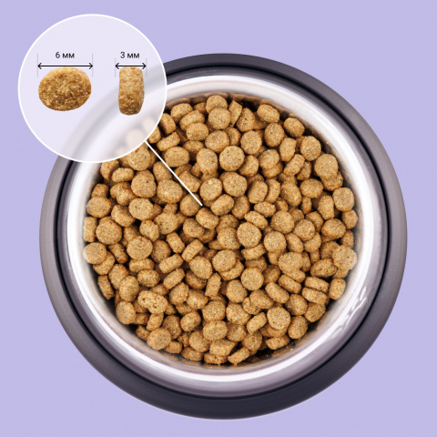 Functional Nutrition Sterilized Корм для стерилизованных кошек старше 1 года, с лососем, 1,5 кг 2