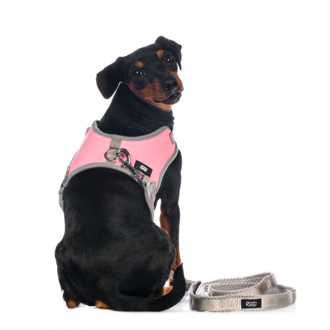 Шлейка-жилетка S для собак розовая + поводок 1