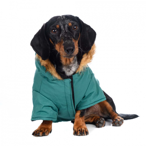 Куртка приталенная с меховым капюшоном для собак L зеленый (унисекс)