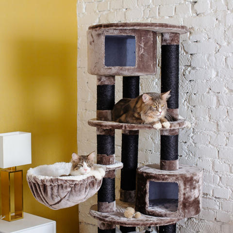 Мебель для кошек и когтеточки