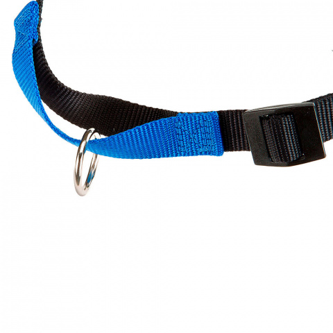 Шлейка для собак с кольцом спереди Coach P, L-XL, синяя 4