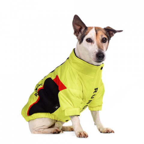 Куртка на молнии для собак средних пород Карликовый пинчер, Джек Рассел, Бигль 33x48x31см L желтый (унисекс) 8