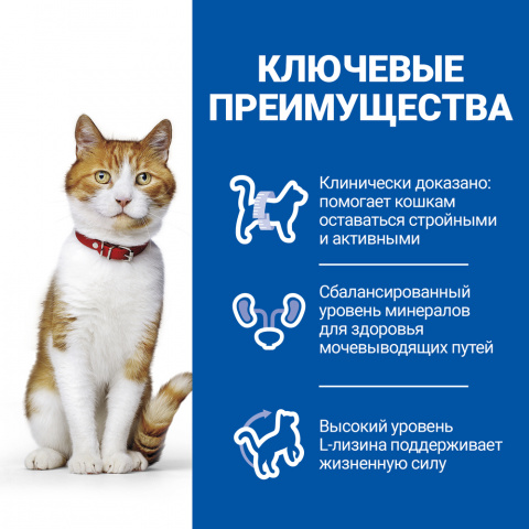Science Plan Сухой корм для взрослых стерилизованных кошек и кастрированных котов, с курицей, 1,5 кг 2