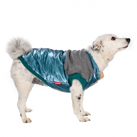 Куртка для собак 3XL голубой (унисекс) 2