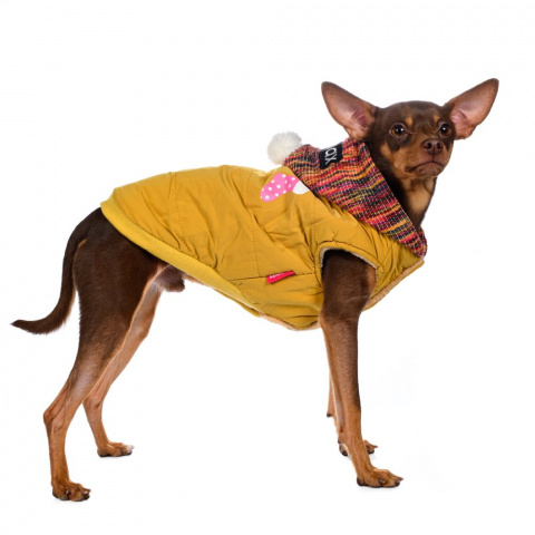 Куртка с капюшоном для собак S желтый (унисекс) 7