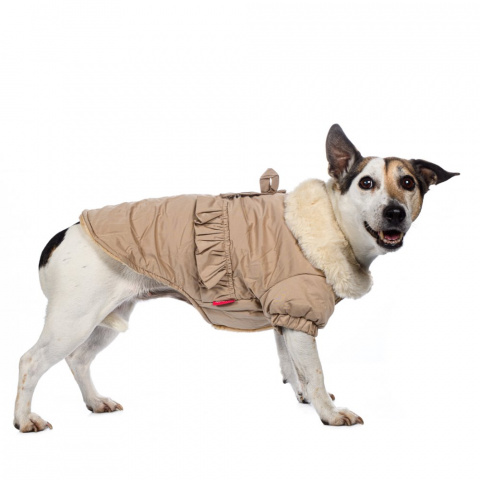 Куртка-плащ для собак S бежевый (унисекс) 4