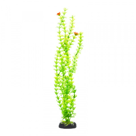 Растение зеленое 60см