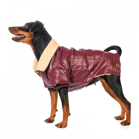 Куртка из кожзама для собак 2XL бордовый (унисекс)