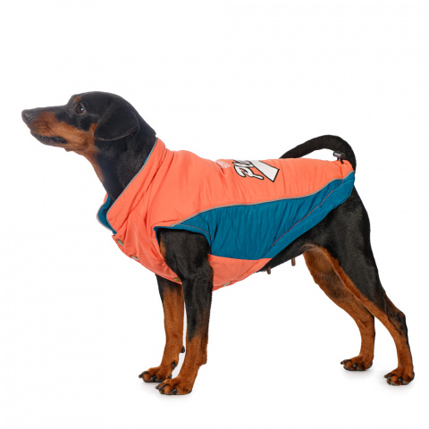 Куртка для собак M оранжевый (унисекс)