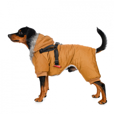 Комбинезон для собак со шлейкой и капюшоном бежевый