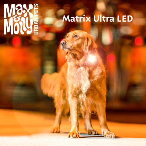 Max & Molly, Фонарик на ошейник/шлейку/поводок для собак Matrix Ultra LED, белый