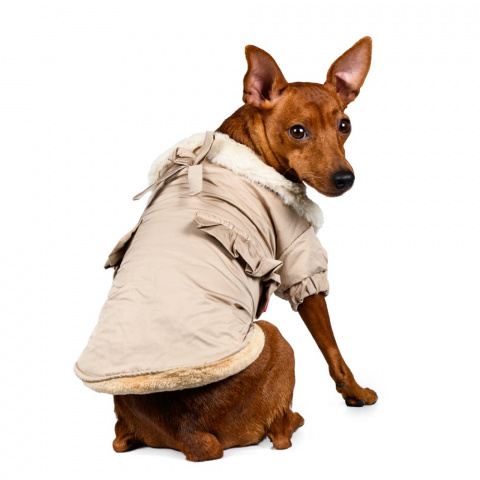Куртка-плащ для собак S бежевый (унисекс) 2