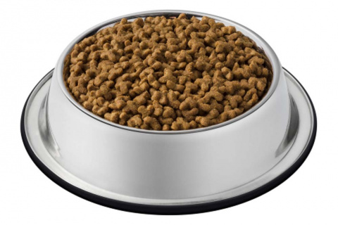 Сухой корм для котят, с высоким содержанием домашней птицы, 7 кг 7