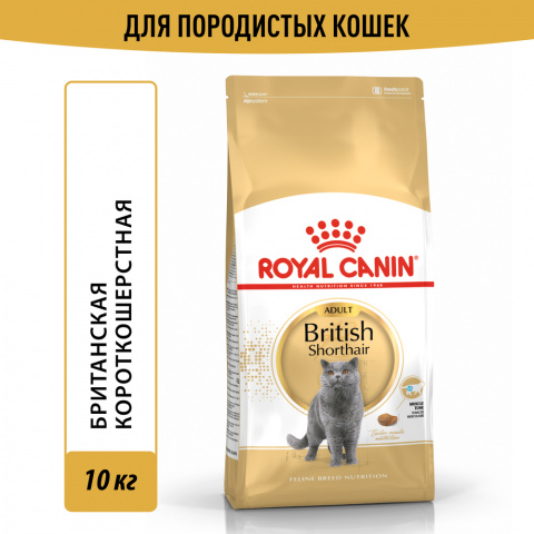 British Shorthair 36 Adult Сухой корм для взрослых кошек породы британская короткошерстная, 10 кг 2