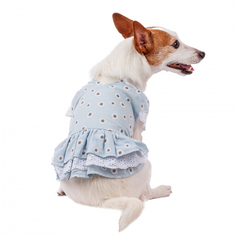 Платье для собак с ромашками M голубой (девочка)