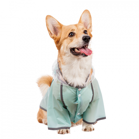 Дождевик для собак с капюшоном 3XL зеленый (унисекс) 1