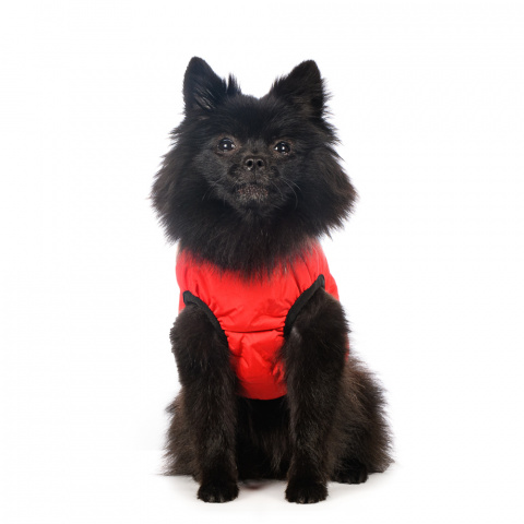Куртка для собак на молнии красная 1