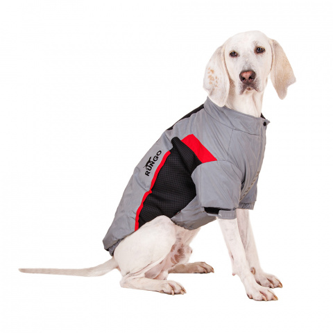 Куртка на молнии для собак крупных пород Карликовый пинчер, Джек Рассел, Бигль 56x79x51см 5XL серый (унисекс) 1