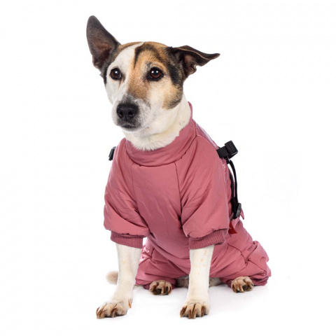 Комбинезон на молнии со шлейкой для собак S розовый (девочка) 1