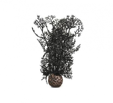 Растение Морской веер (горгонария) S чёрный
