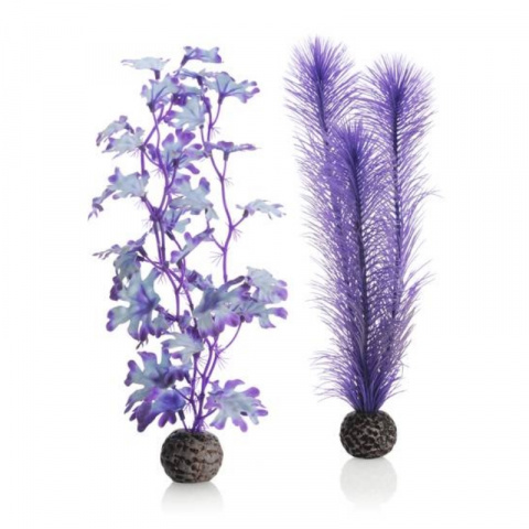 Растение Фиолетовая водоросль M 2шт