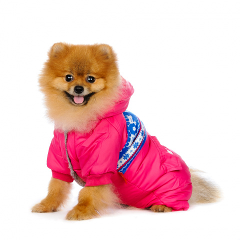 Комбинезон для собак розовый с орнаментом девочка 2