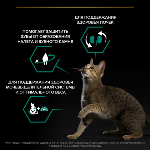 Sterilised Adult Сухой корм для поддержания здоровья почек у стерилизованных кошек и кастрированных котов старше 1 года, с кроликом, 400 гр. 4