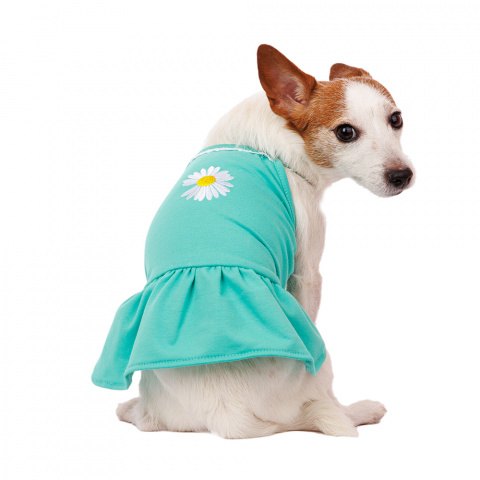 Платье для собак с ромашкой M зеленый (девочка)