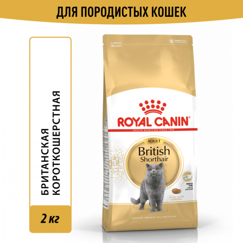 British Shorthair Adult Сухой корм для взрослых кошек породы британская короткошерстная, 2 кг 2
