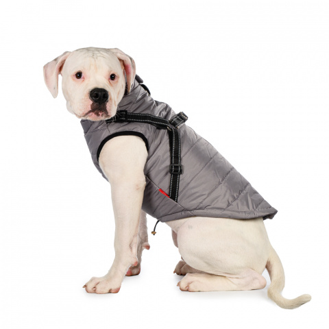 Куртка со шлейкой для собак 3XL серый (унисекс)