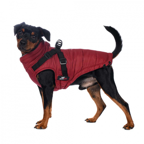 Попона теплая со шлейкой для собак средних пород Французский бульдог M бордовый (унисекс) 3