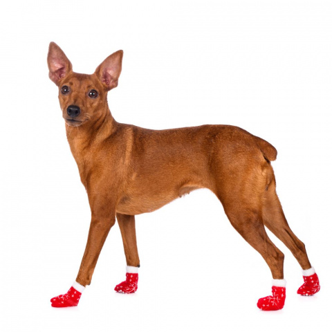 Носки XL для собак красные со снежинками
