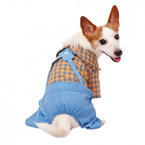 Костюм джинсовый с рубашкой для собак M голубой (унисекс)