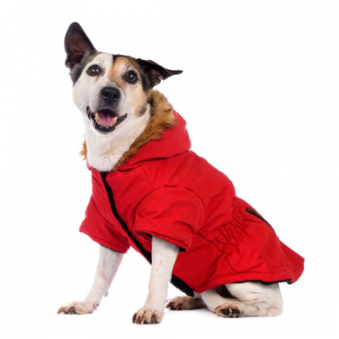 Куртка приталенная с меховым капюшоном для собак XS красный (унисекс) 3