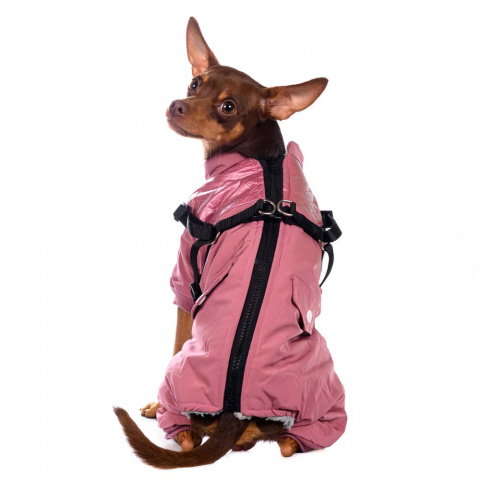 Комбинезон на молнии со шлейкой для собак S розовый (девочка) 5