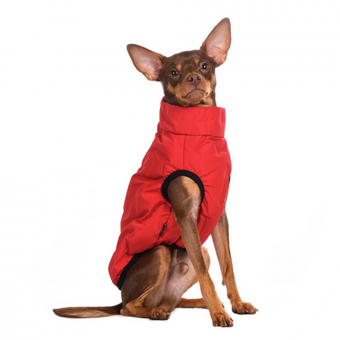 Куртка для собак на молнии красная 6