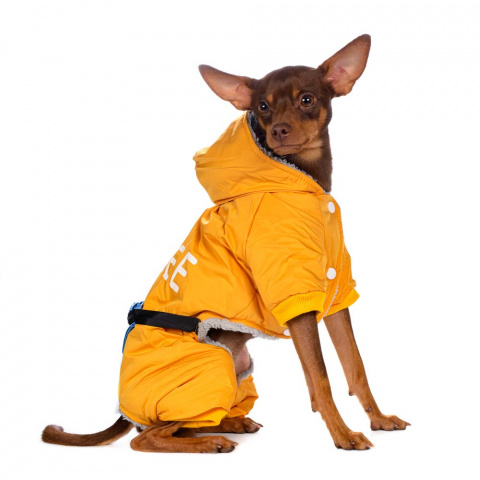 Комбинезон с сумочкой для собак S желтый (унисекс) 3