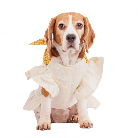Платье Pure Sun для собак с бантиком белое XL 2