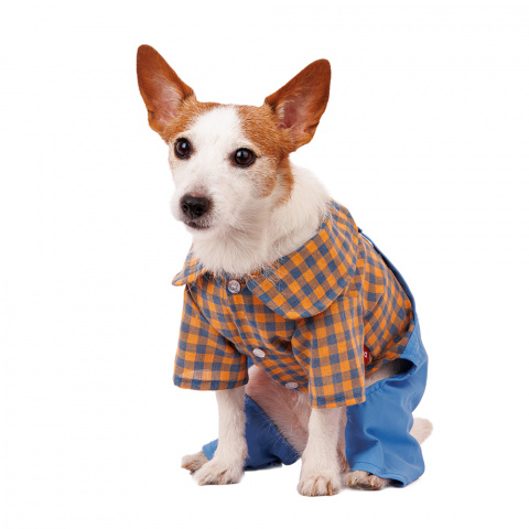 Костюм джинсовый с рубашкой для собак M голубой (унисекс) 1