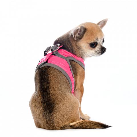 Шлейка с отражающей лентой для собак XS, розовая, цвет Розовый, цены,  купить в интернет-магазине Четыре Лапы с быстрой доставкой