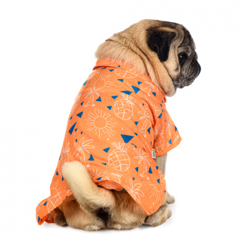Рубашка для собак с пальмами XS оранжевый (унисекс) 2