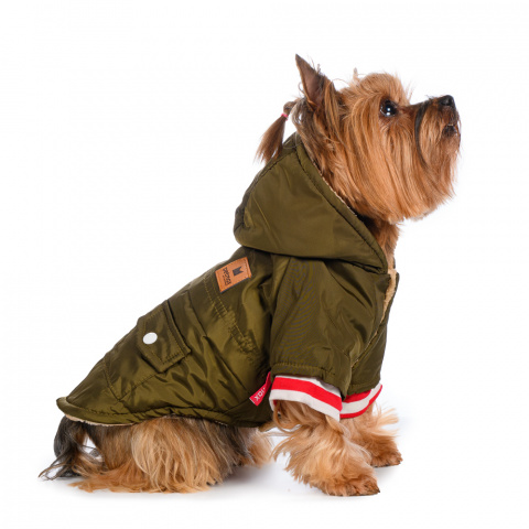 Куртка с капюшоном для собак XS зеленый (унисекс)