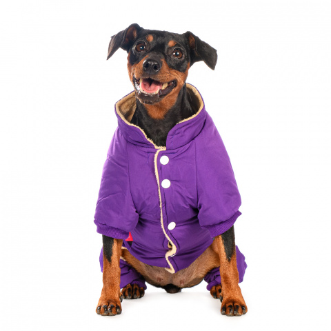 Комбинезон для собак 3XL фиолетовый (девочка) 1