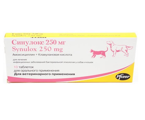 Купить синулокс 250 мг для собак. Синулокс для кошек таблетки 250 мг. Синулокс для кошек 250мг. Синулокс таблетки 250 мг 10 шт. (Вет) Зоэтис. Синулокс для собак 250.