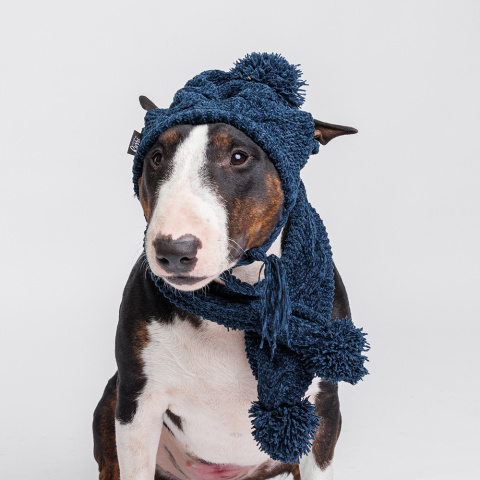 шапки для собак - самый большой выбор товаров для домашних любимцев по всей Украине