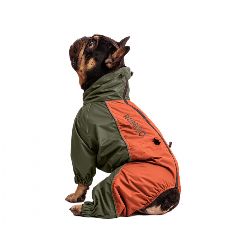 Дождевик для собак Скотч-терьер мальчик ржавый XL, 37x39x62 см