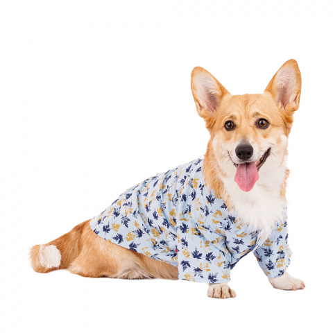 Рубашка для собак 2XL голубой (унисекс)
