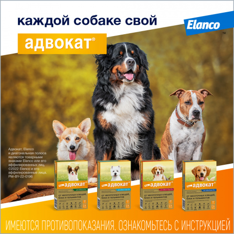 Адвокат капли на холку для собак весом до 4 кг от чесоточных клещей, блох и гельминтов, 1 пипетка, 0,4 мл 9