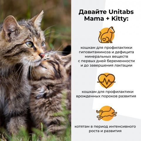 Витаминно-минеральный комплекс для нормализации обмена веществ у котят, беременных и кормящих кошек, 120 таблеток 3