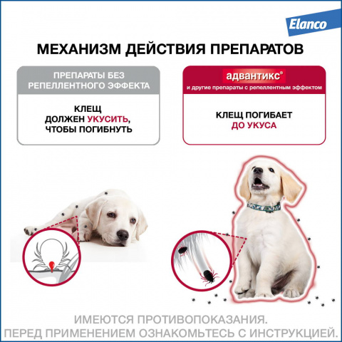 Адвантикс капли на холку для собак весом от 10 до 25 кг от блох, клещей и комаров, 1 пипетка 3
